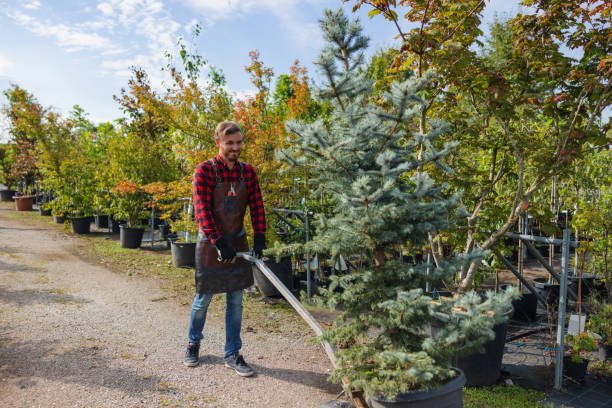 Best Arborist Services Near Me  in Linton Hall, VA